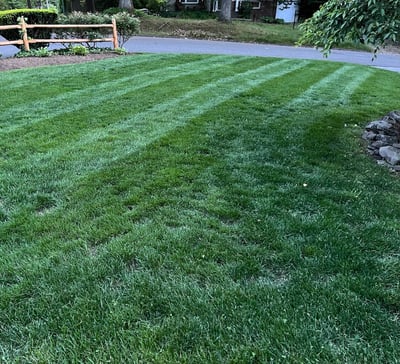 Lawn Aeration and Its Benefits: A Master Landscaper's Guide