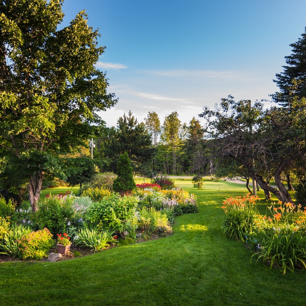 beautiful-front-yark-garden-2024-09-22-09-15-27-utc